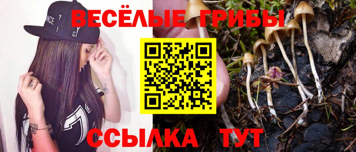 Строитель  Псилоцибиновые грибы Magic Shrooms  Вход с VPN 
