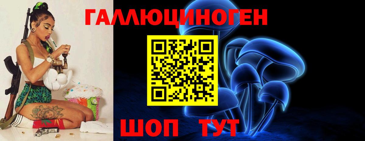 Галлюциногенные грибы Psilocybine cubensis Строитель